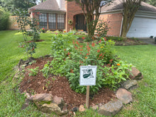 Load image into Gallery viewer, Tropical Sage