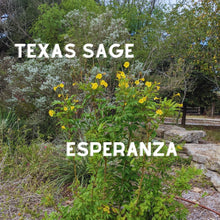 Load image into Gallery viewer, Texas Esperanza